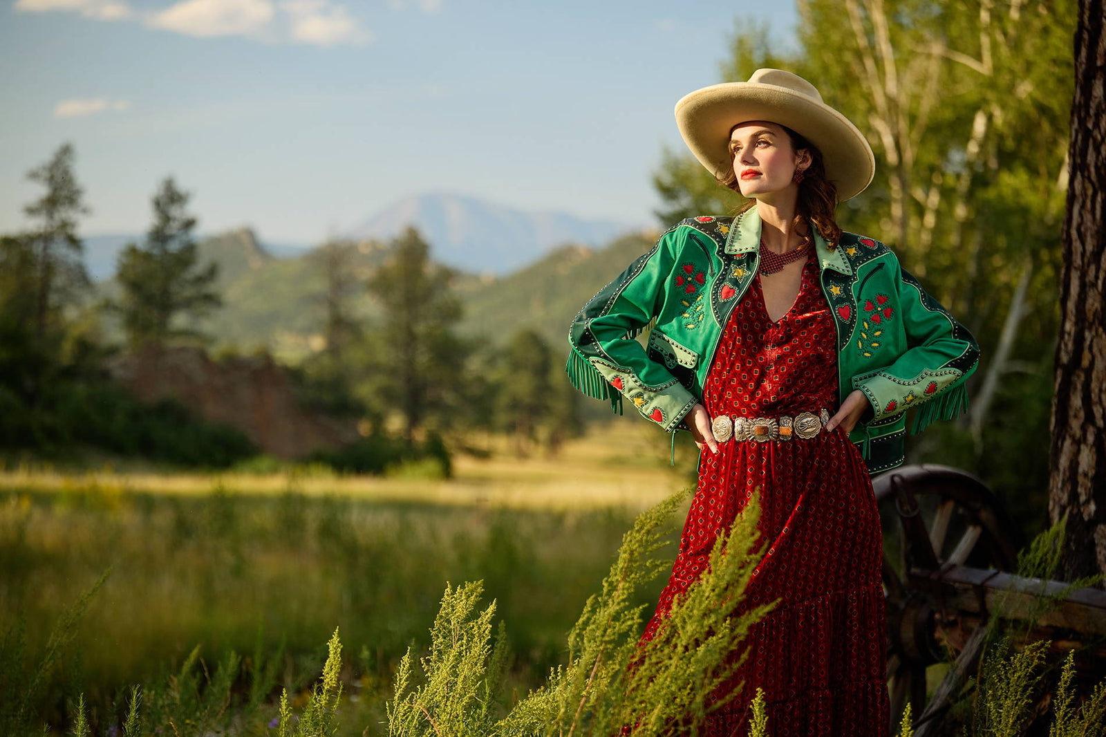 STATEMENTS & SIGNATURES