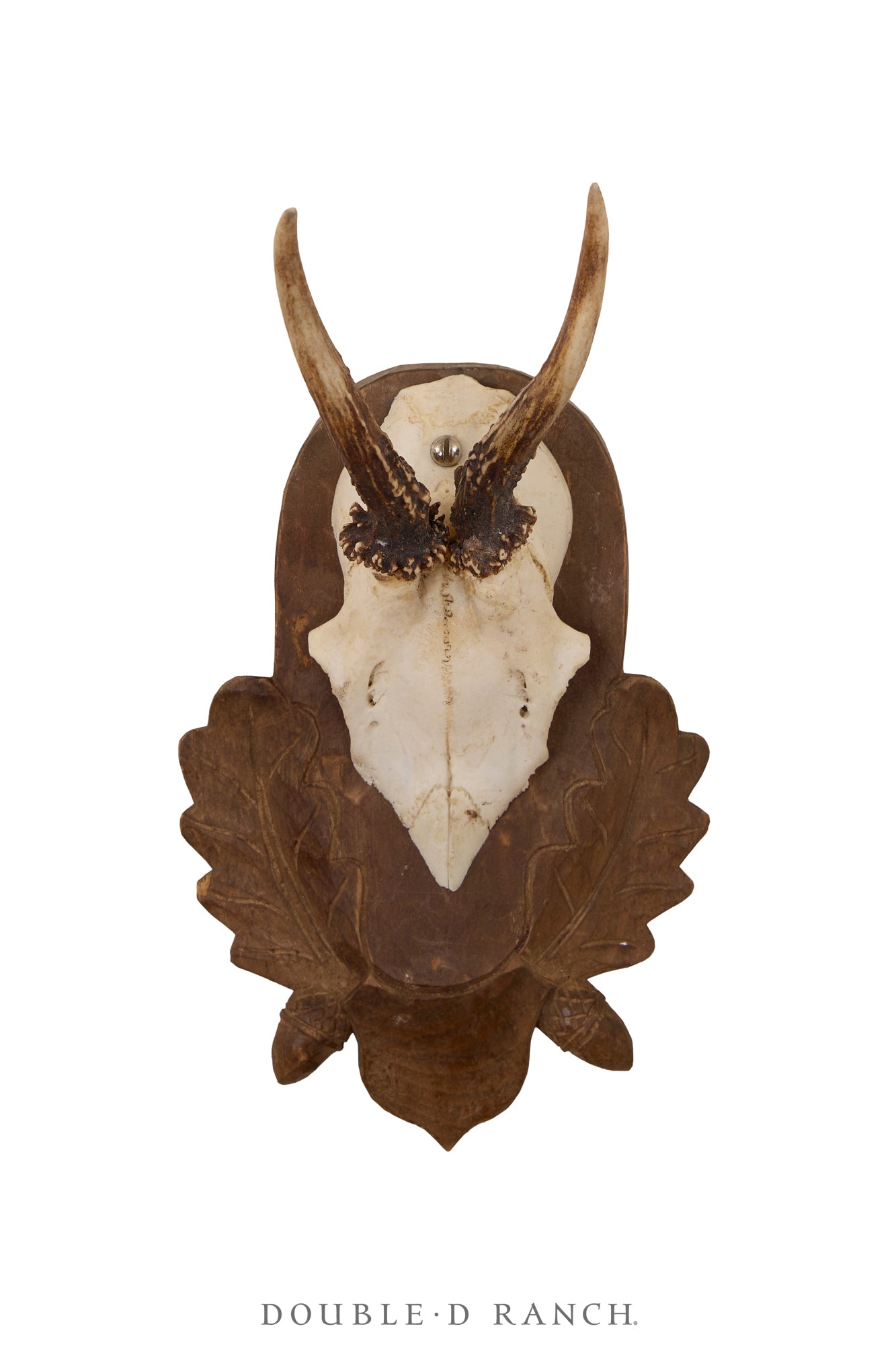 Art, Taxidermy, Roe Deer Antlers, Unique Set of Wall Plaques, France, Vintage ‘70s, 1346