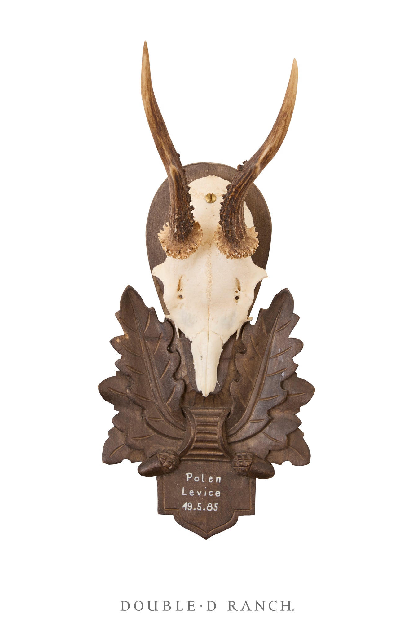 Art, Taxidermy, Roe Deer Antlers, Pair of Wall Plaques, France, Vintage ‘80s, 1344