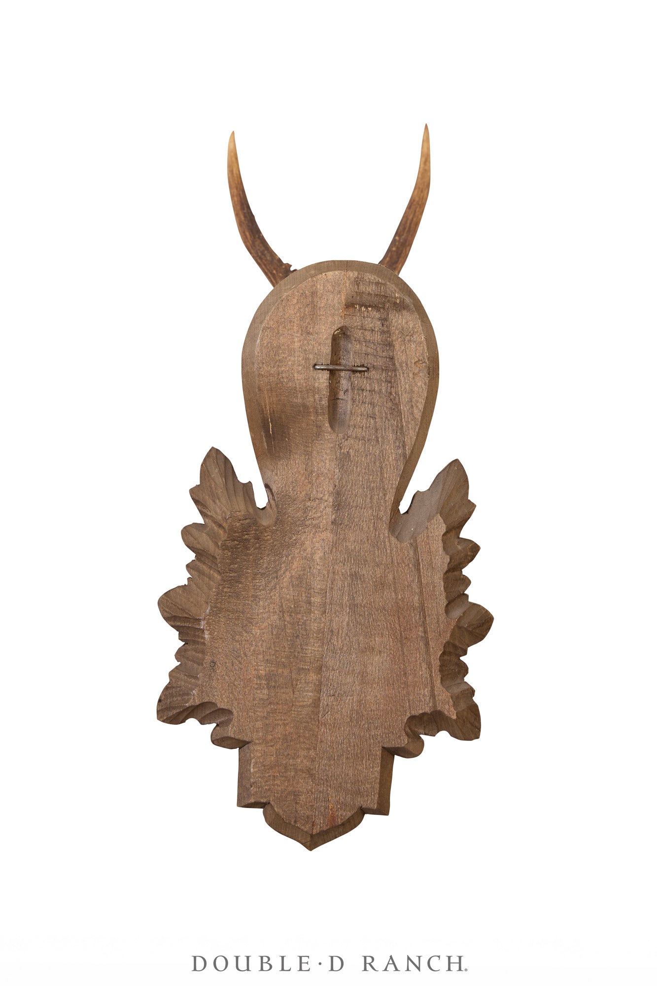 Art, Taxidermy, Roe Deer Antlers, Pair of Wall Plaques, France, Vintage ‘80s, 1344