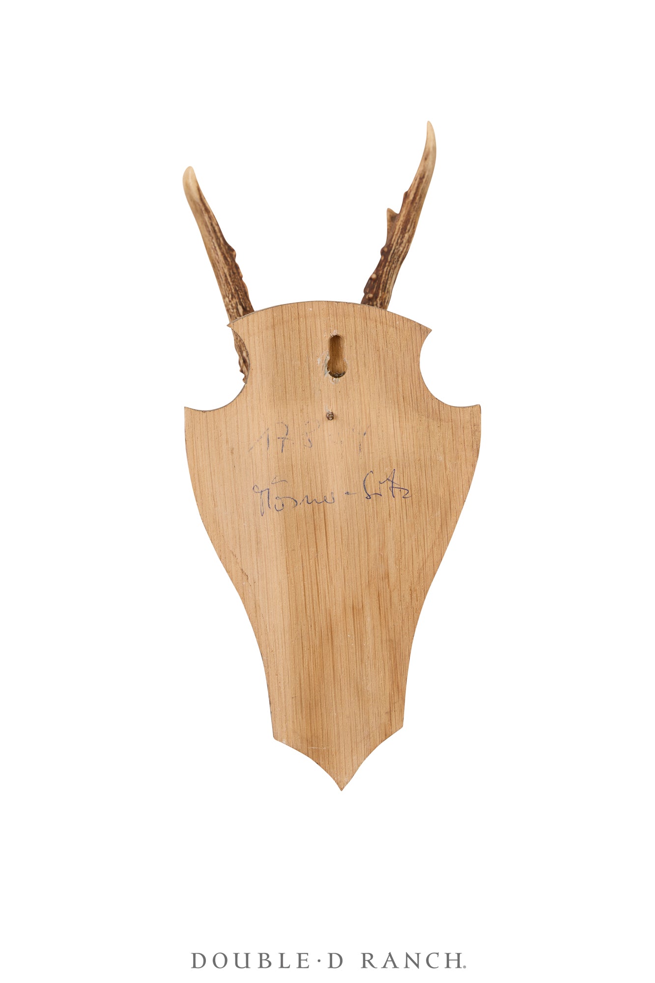 Art, Taxidermy , Roe Deer Antlers, Pair of Wall Plaques, France, Vintage ‘70s, 1340