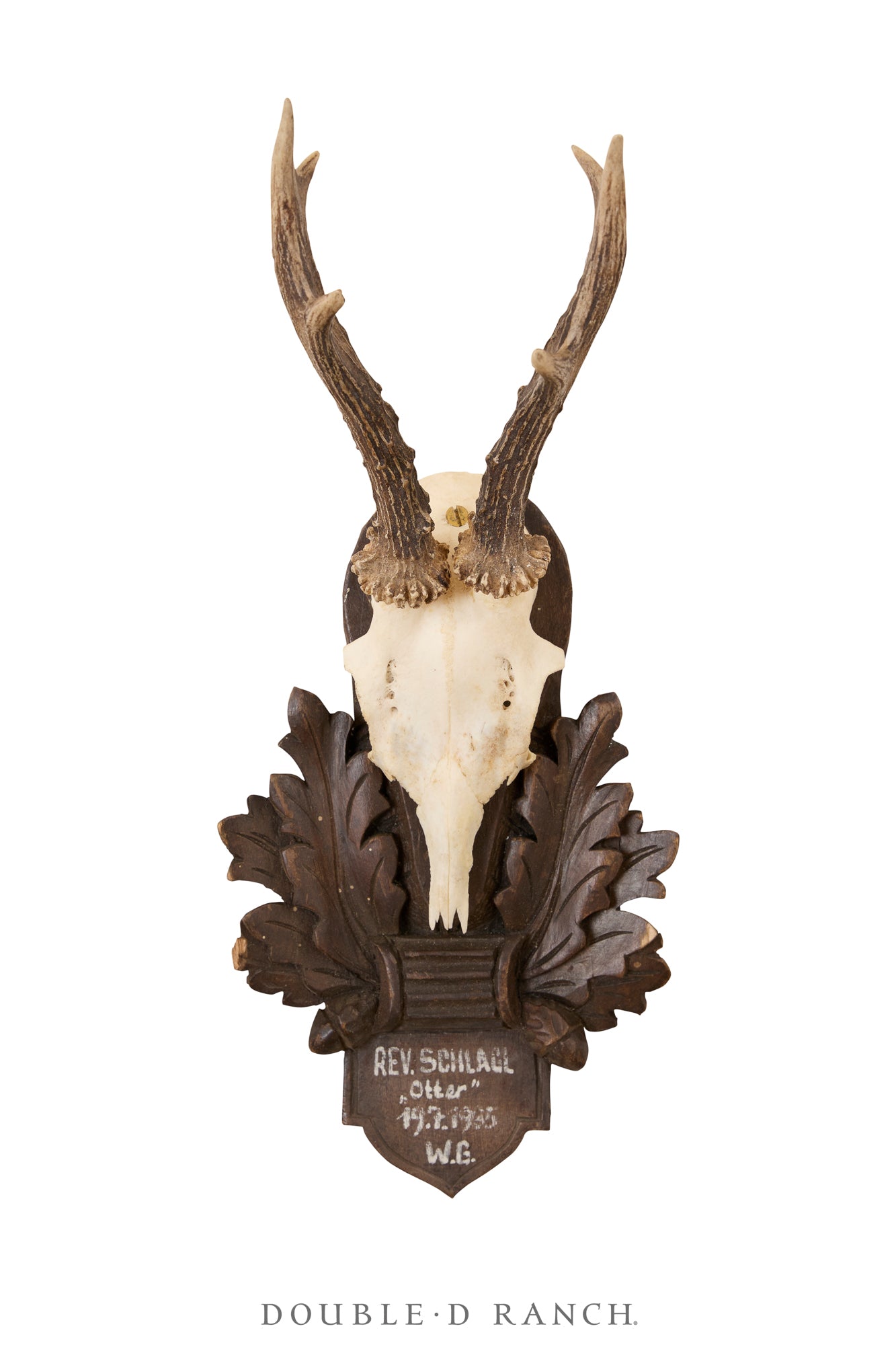 Art, Taxidermy, Roe Deer Antlers, Pair of Wall Plaques, France, Vintage ‘70s, 1342