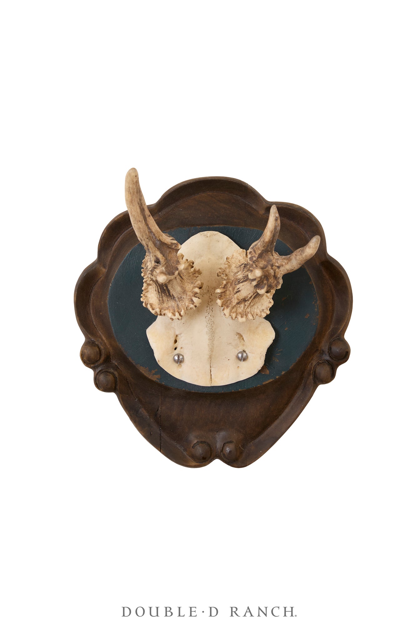 Art, Taxidermy, Roe Deer Antlers, Pair of Wall Plaques, France, Vintage ‘70s, 1343