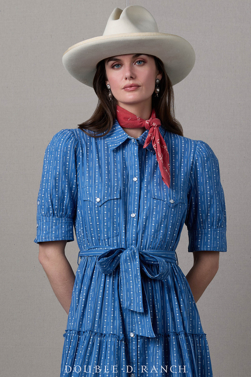 Dress, Bunting Blues