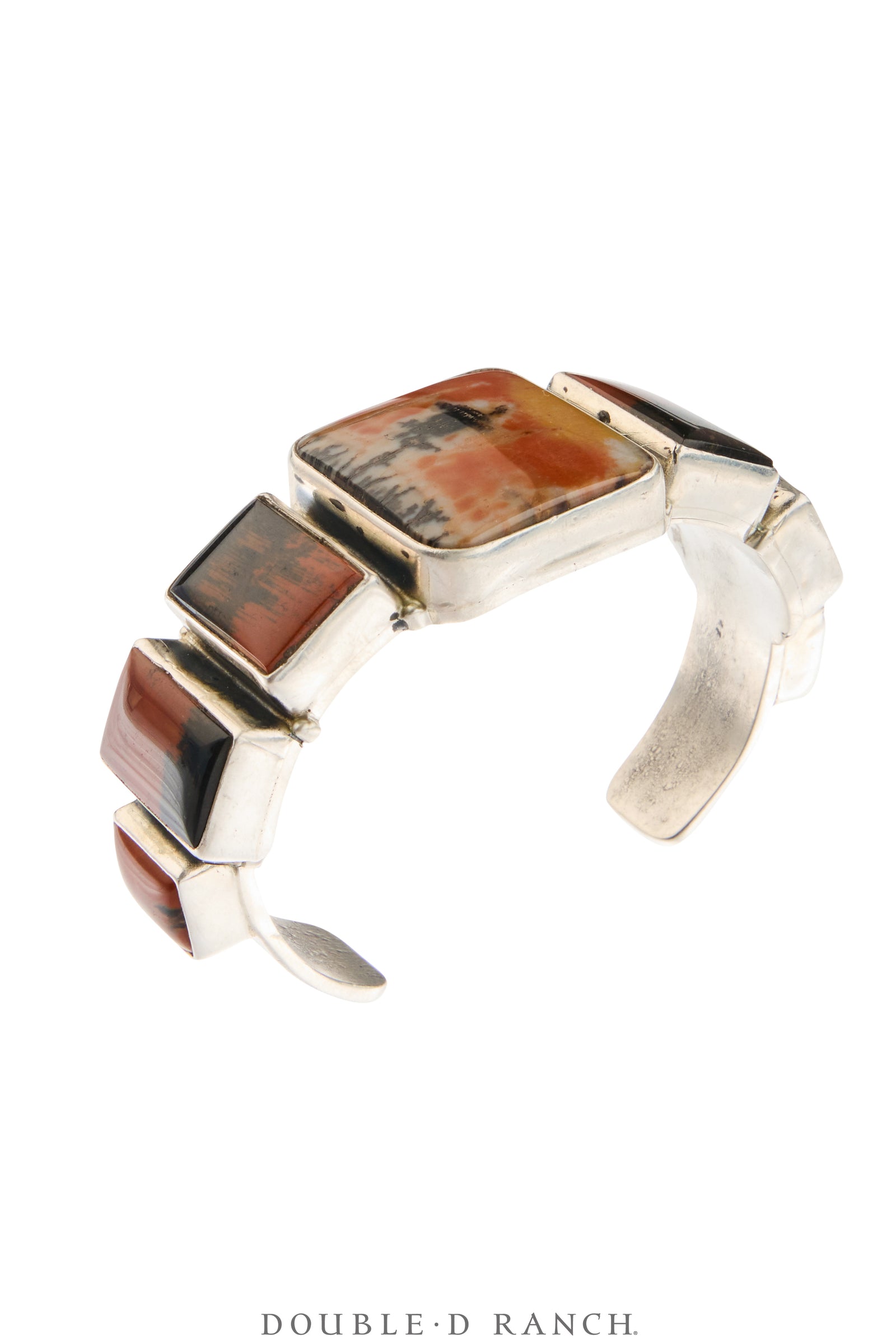 Cuff, Federico, Natural Arizona Rainbow Petrified Wood, Hallmark, Contemporary, 4138