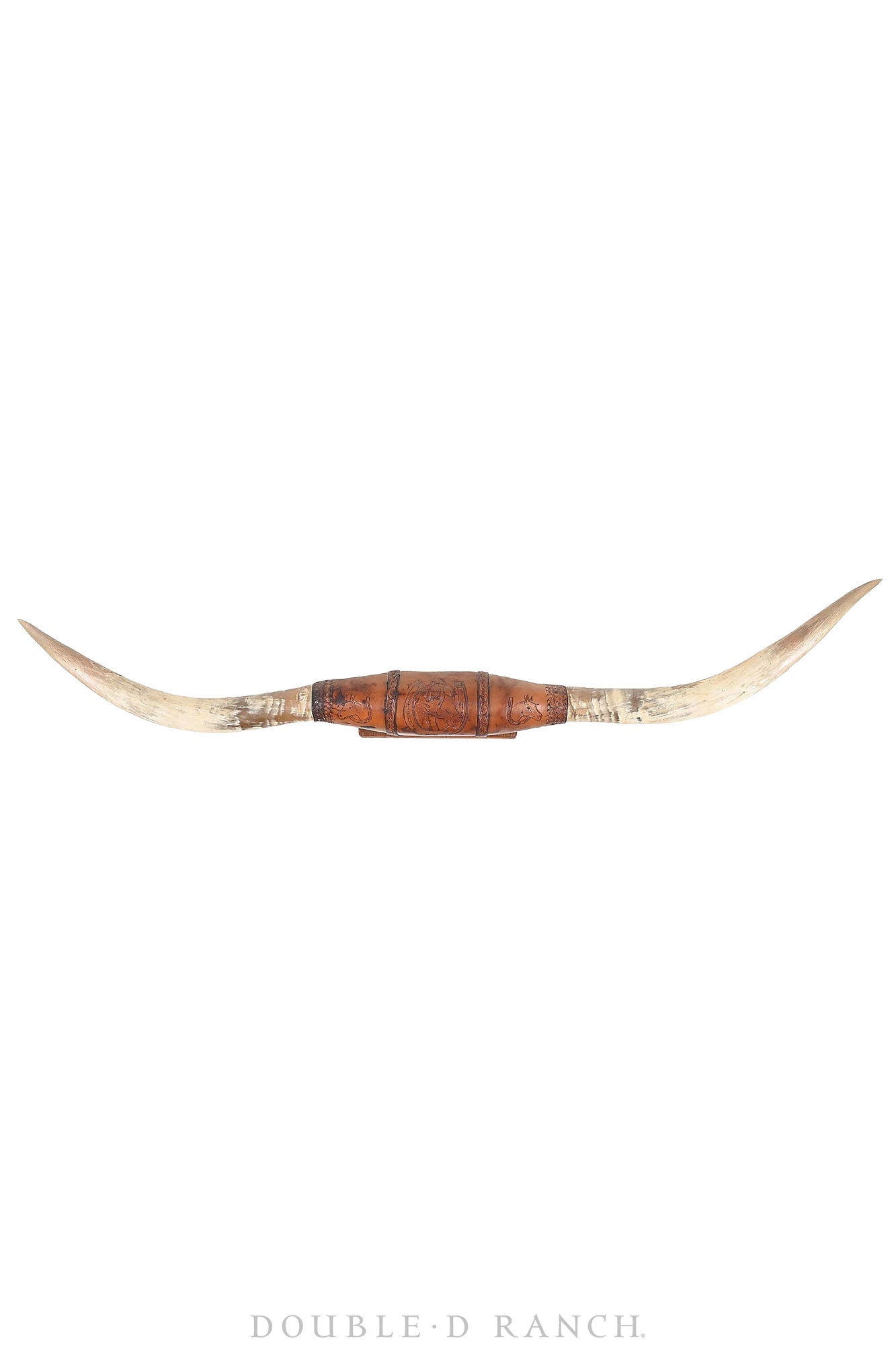 Art, Taxidermy, Longhorn Horn Display, Monumental 84", Vintage, 1378