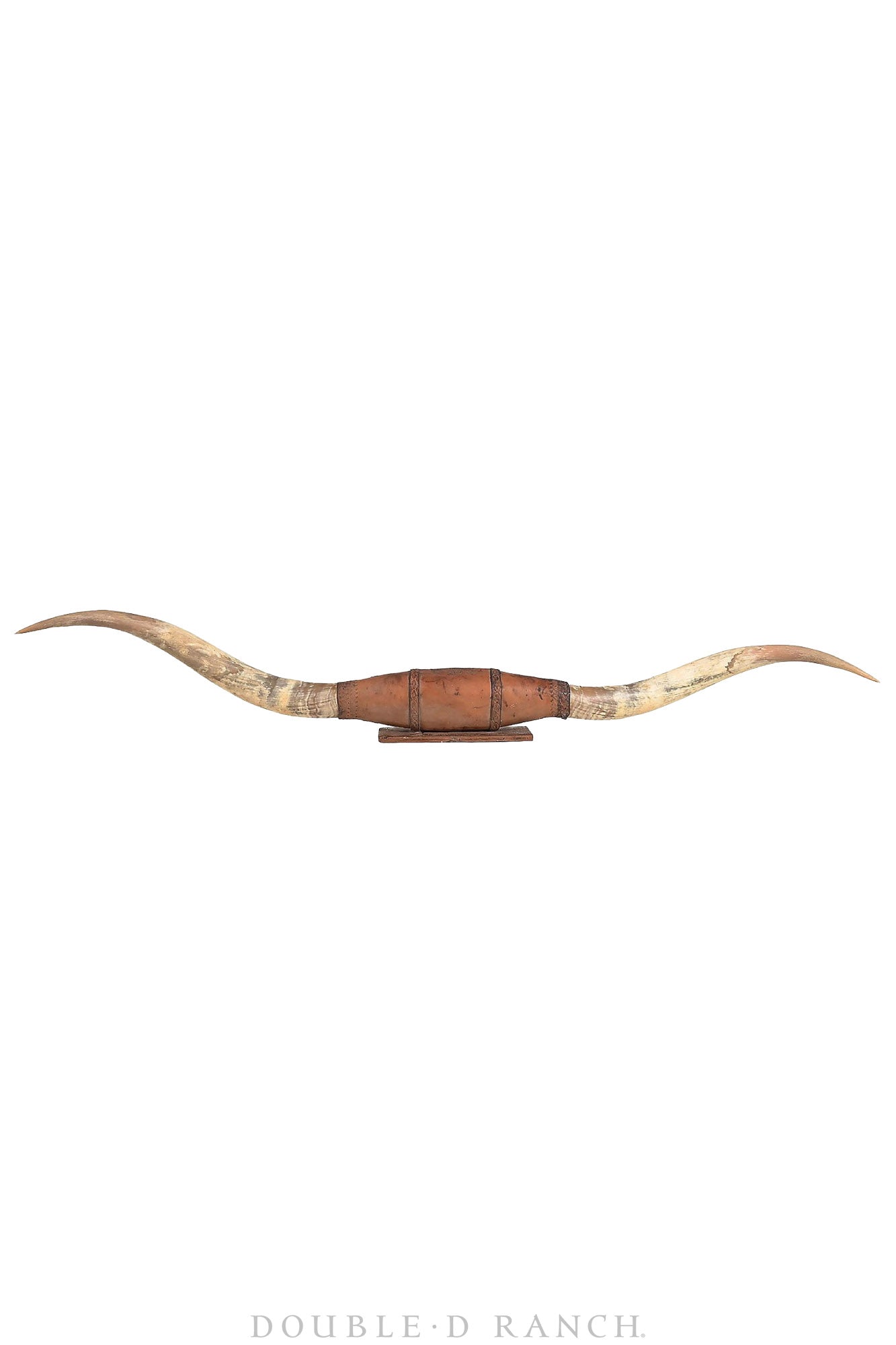 Art, Taxidermy, Longhorn Horn Display, Monumental 84", Vintage, 1378