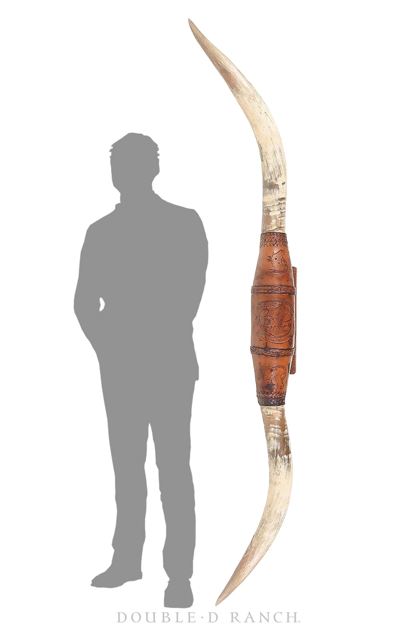 Art, Taxidermy, Longhorn Horn Display, Monumental 84", Vintage, 1378