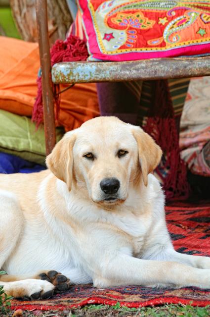 Culture Clash Photoshoot