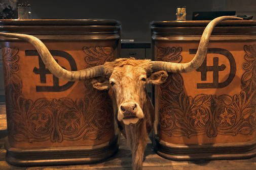 LOOK WHO’S MOOOVING IN! - Double D Ranch