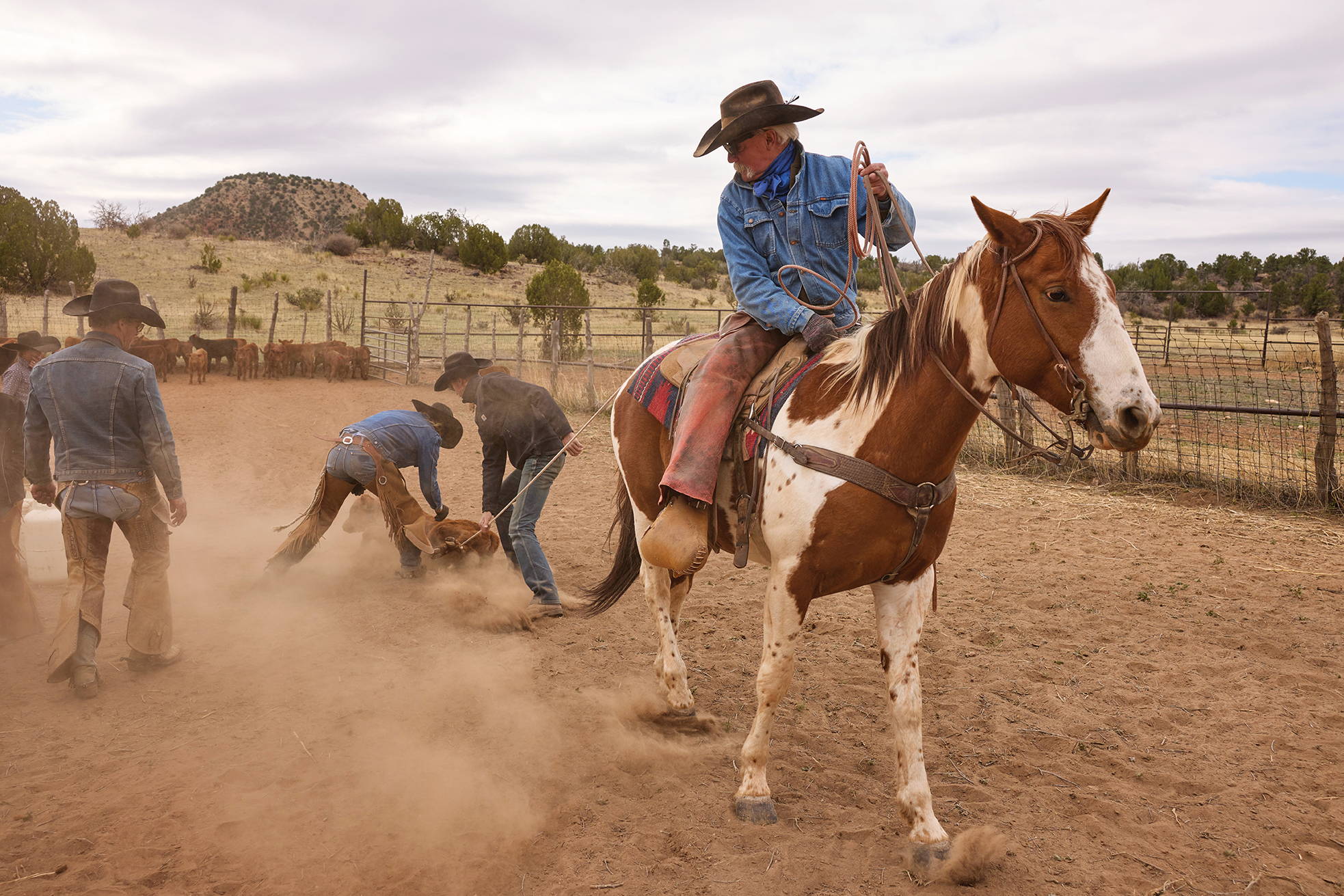 Dg Ranch BECOMING THE BRAND - Double D Ranch