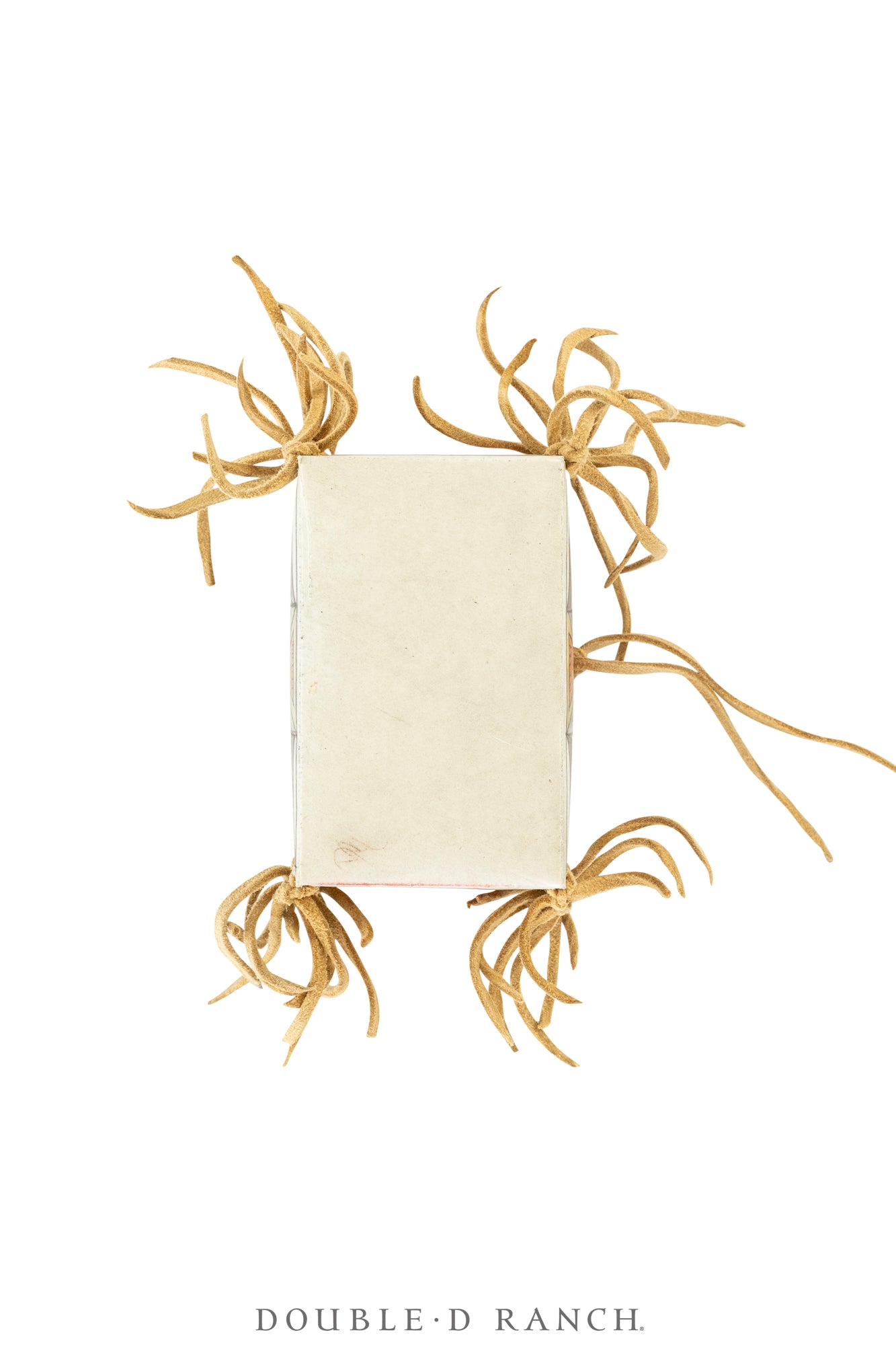 Miscellaneous, Parfleche, Debra K. Box, Pigments, Ute, Vintage 2010, 904