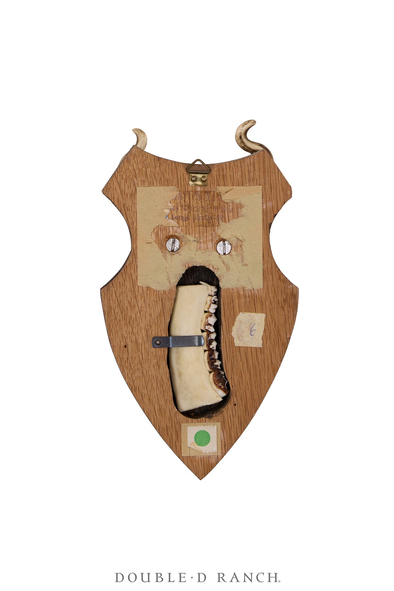 Art, Taxidermy, Roe Deer Antlers, Unique Set of Wall Plaques, France, Vintage ‘70s, 1346