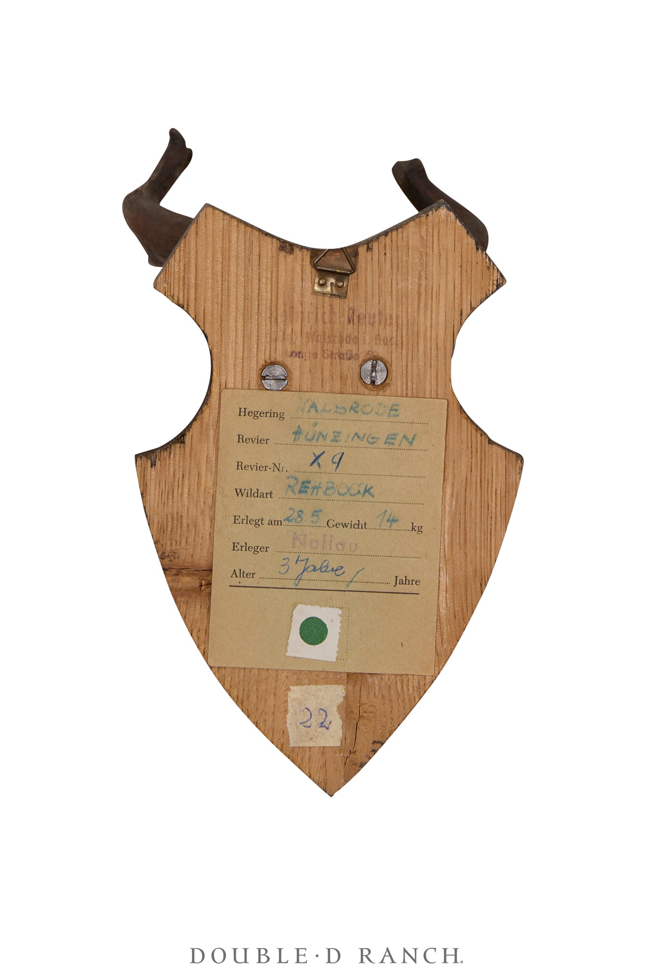 Art, Taxidermy, Roe Deer Antlers, Unique Set of Wall Plaques, France, Vintage ‘70s, 1346