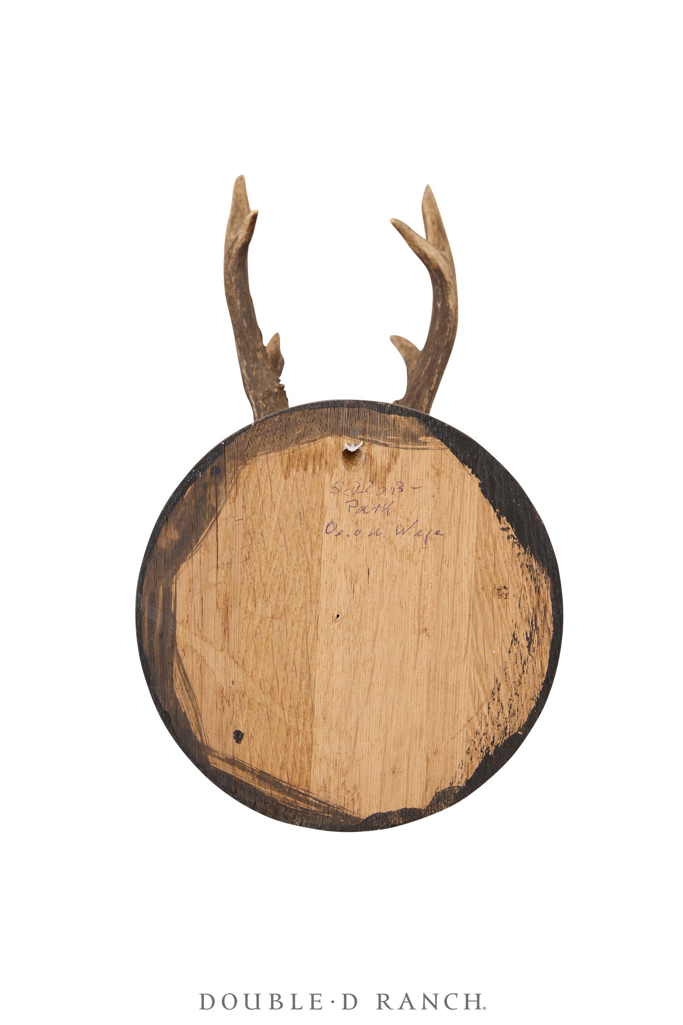 Art, Taxidermy, Roe Deer Antlers, Unique Set of Three Wall Plaques, France, Vintage ‘70s, Art-1345