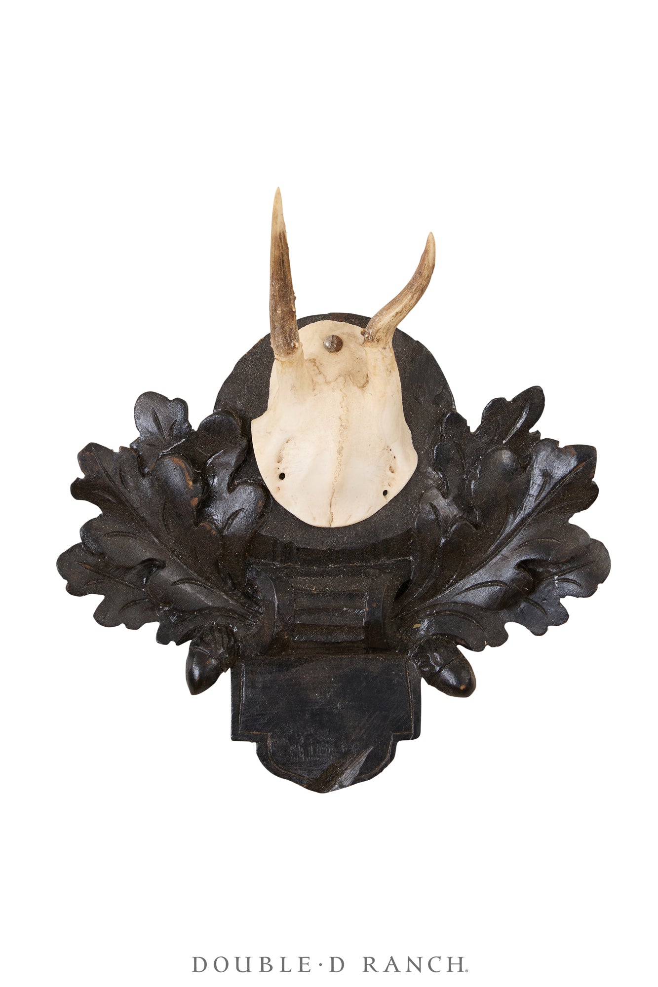 Art, Taxidermy, Roe Deer Antlers, Unique Set of Three Wall Plaques, France, Vintage ‘70s, Art-1345