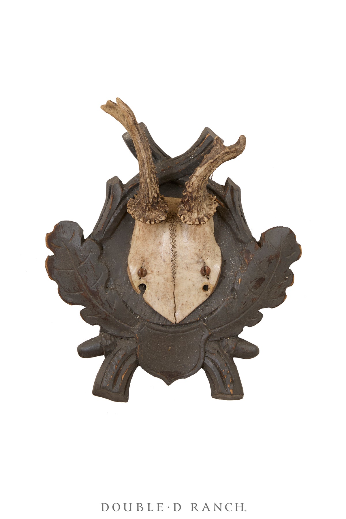 Art, Taxidermy, Roe Deer Antlers, Unique Set of Three Wall Plaques, France, Vintage ‘70s, Art-1345