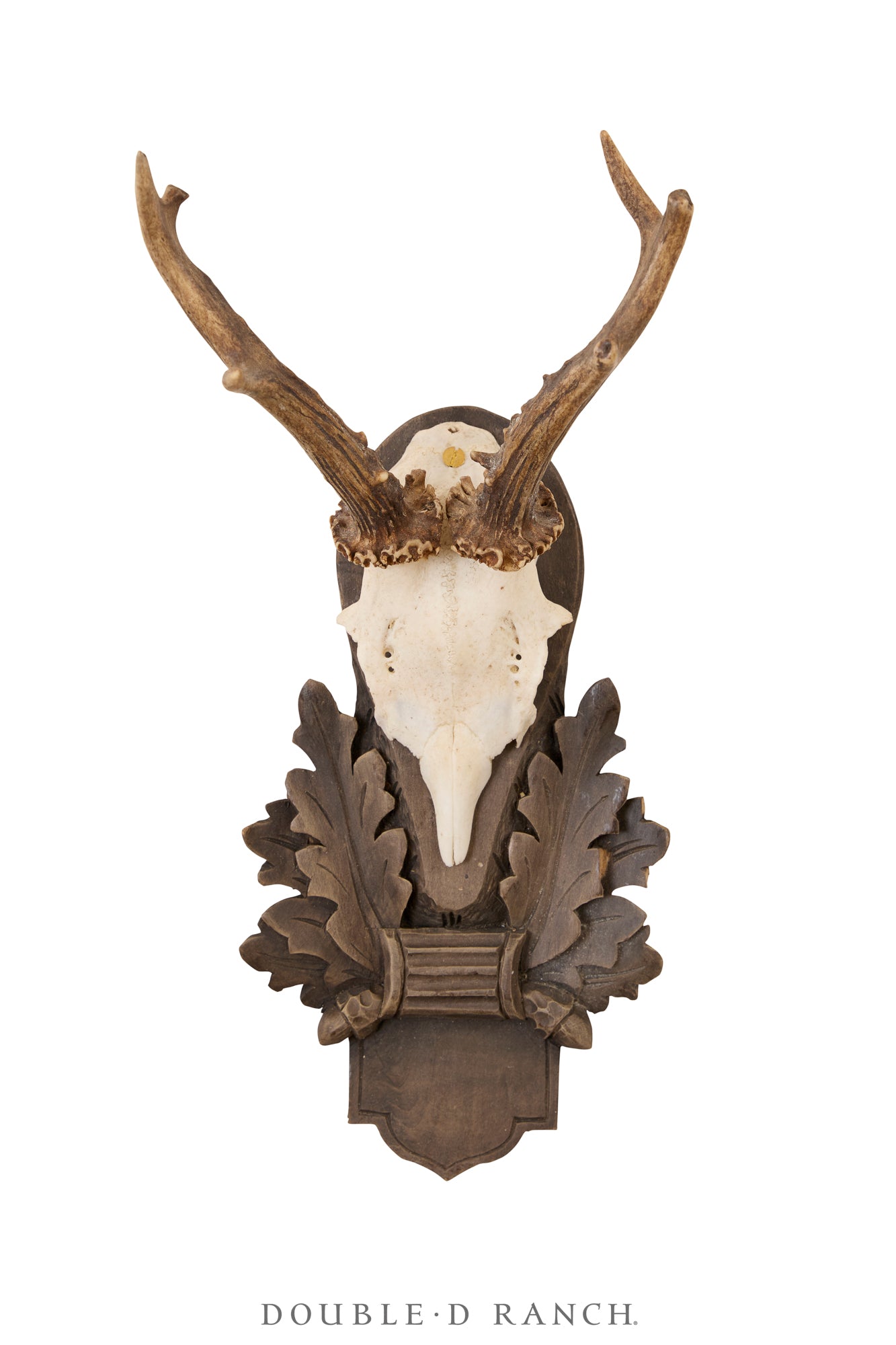 Art, Taxidermy, Roe Deer Antlers, Pair of Wall Plaques, France, Vintage ‘80s, 1344