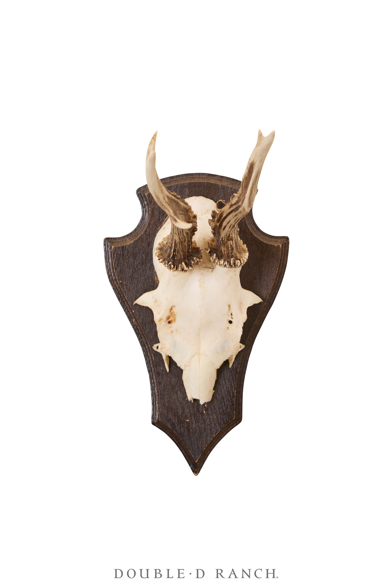 Art, Taxidermy , Roe Deer Antlers, Pair of Wall Plaques, France, Vintage ‘70s, 1340