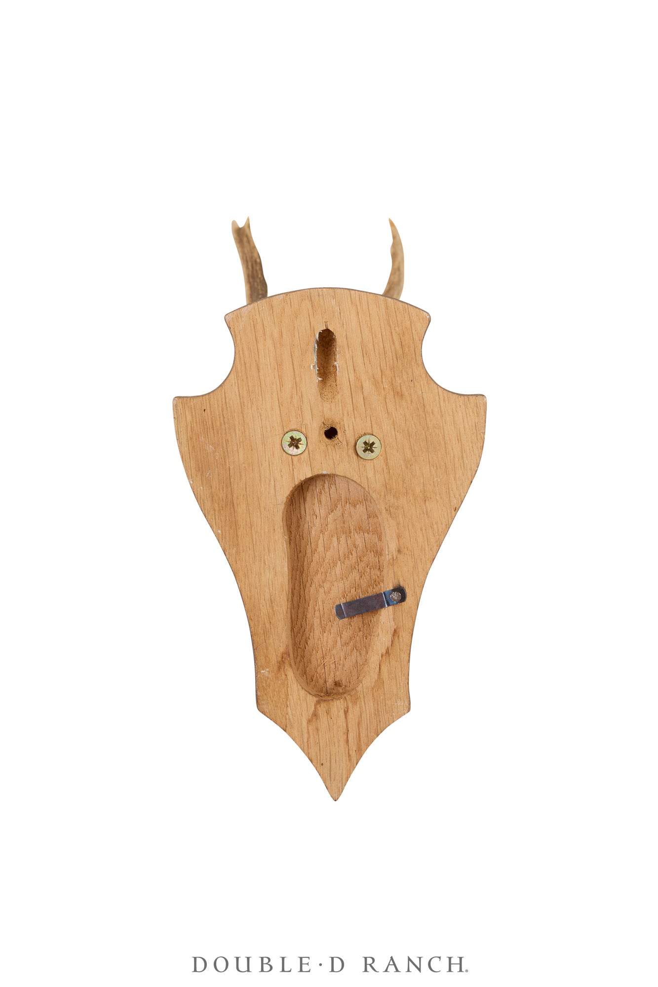 Art, Taxidermy , Roe Deer Antlers, Pair of Wall Plaques, France, Vintage ‘70s, 1340