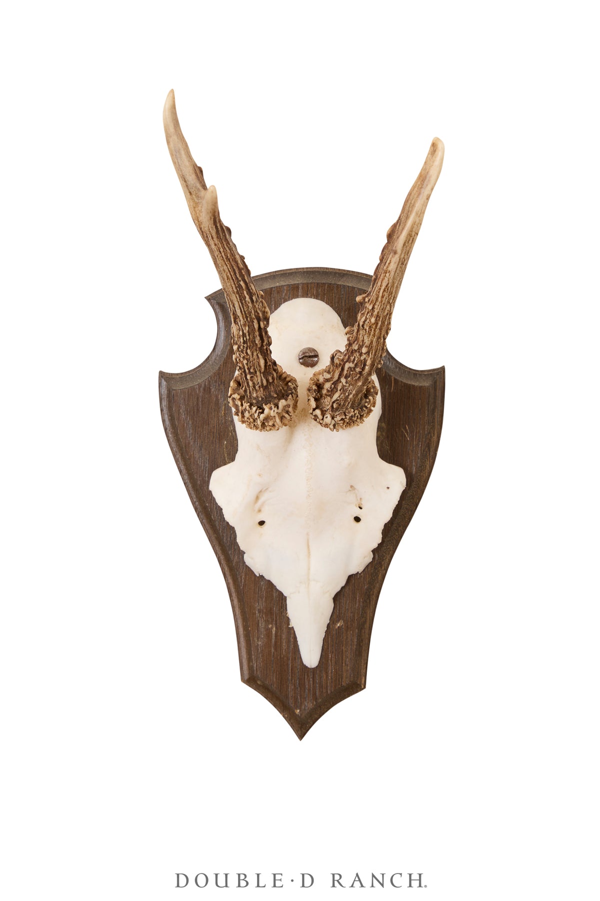 Art, Taxidermy , Roe Deer Antlers, Pair of Wall Plaques, France, Vintage ‘70s, 1340