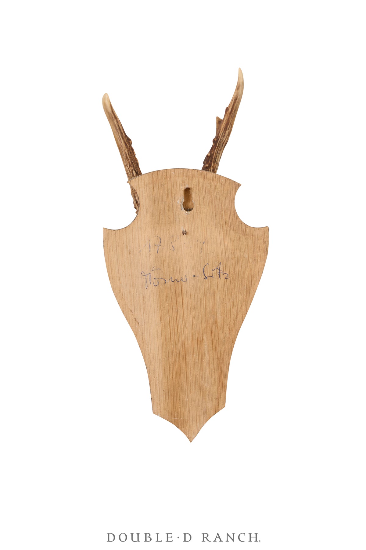 Art, Taxidermy , Roe Deer Antlers, Pair of Wall Plaques, France, Vintage ‘70s, 1340