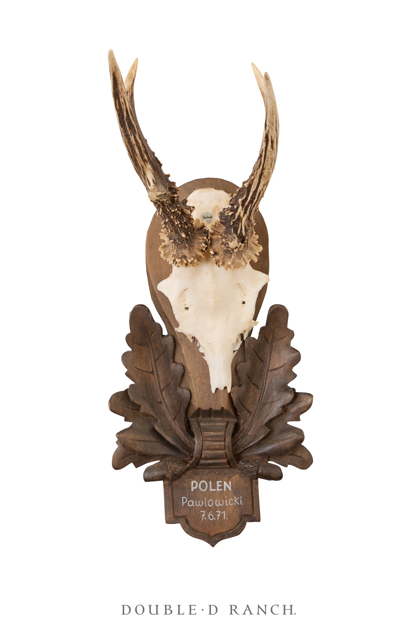 Art, Taxidermy, Roe Deer Antlers, Pair of Wall Plaques, France, Vintage ‘70s, 1342