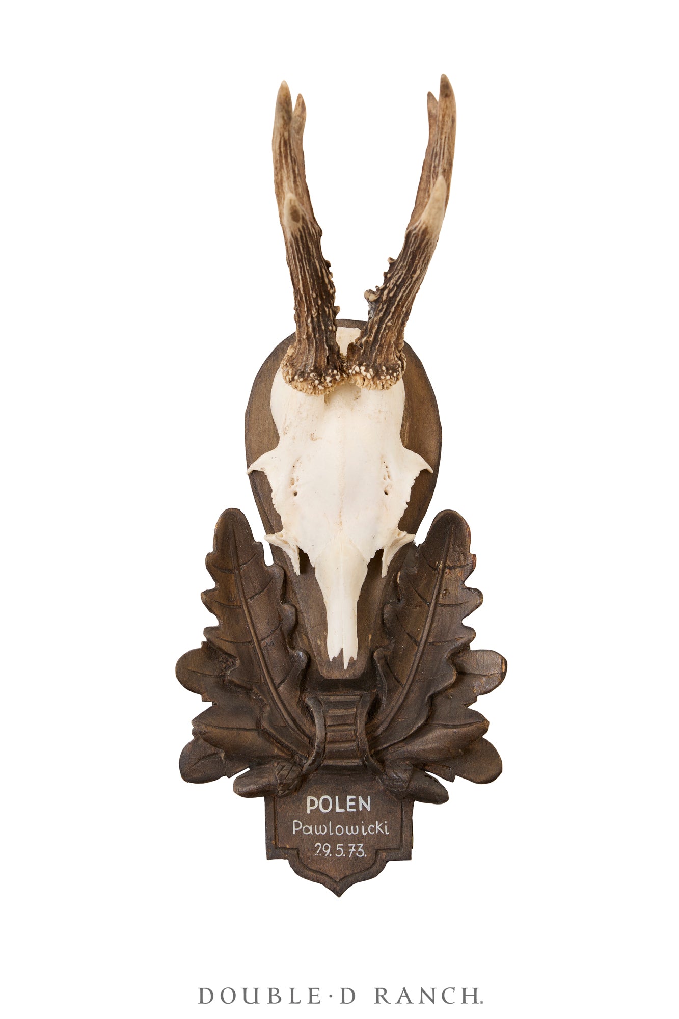 22_Taxidermy-Polen29573-