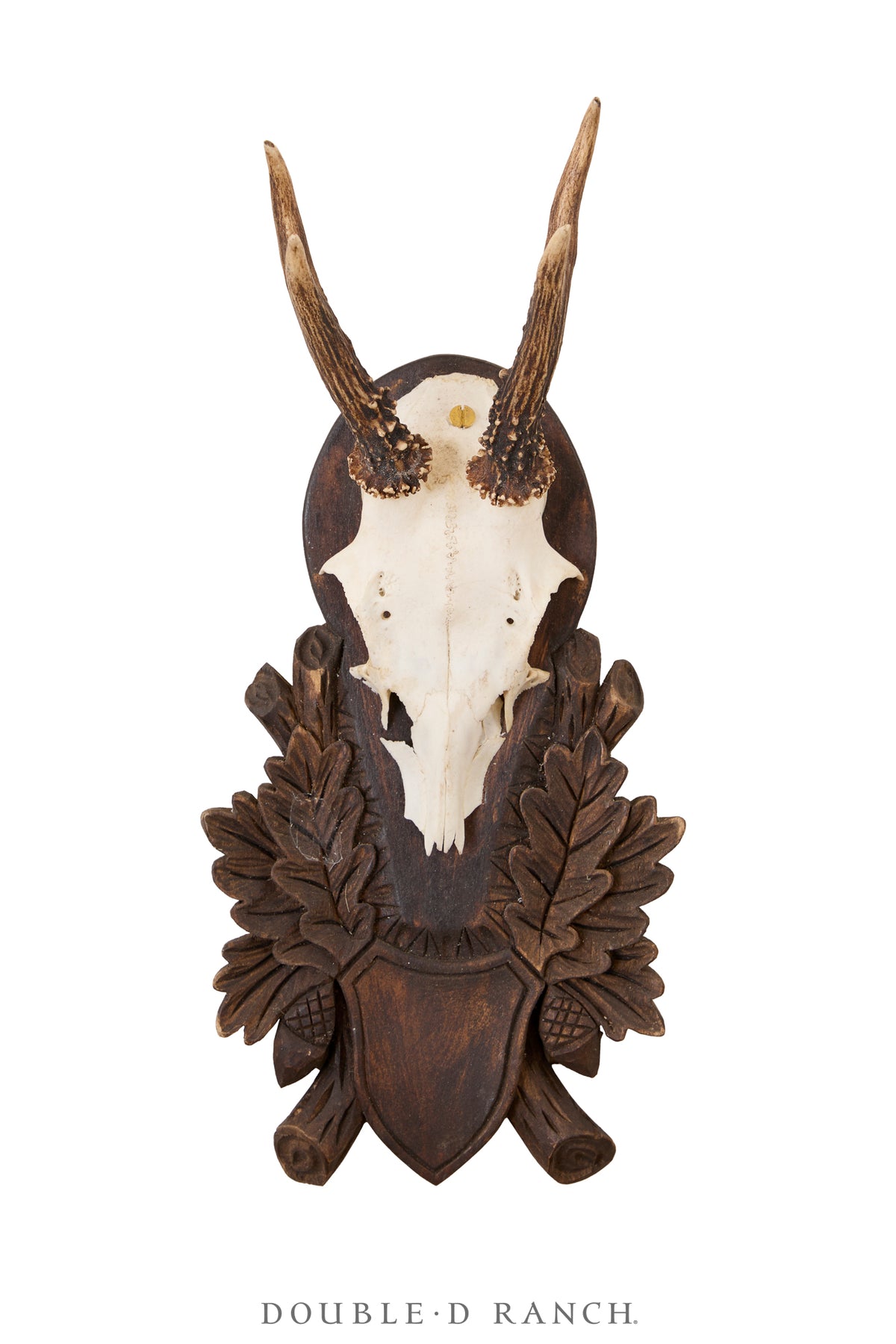 Art, Taxidermy, Roe Deer Antlers, Pair of Wall Plaques, France, Vintage ‘70s, 1343