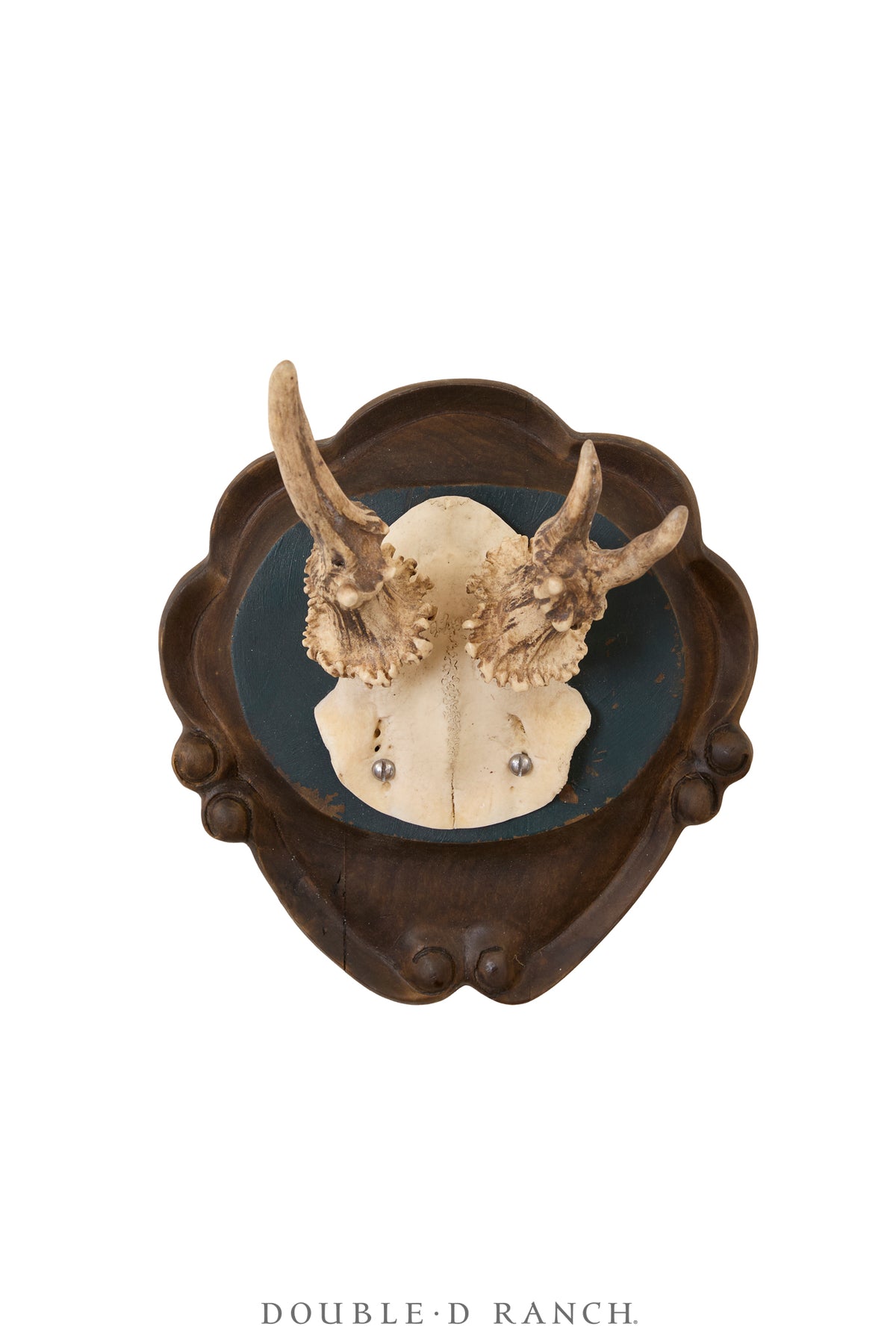 Art, Taxidermy, Roe Deer Antlers, Pair of Wall Plaques, France, Vintage ‘70s, 1343