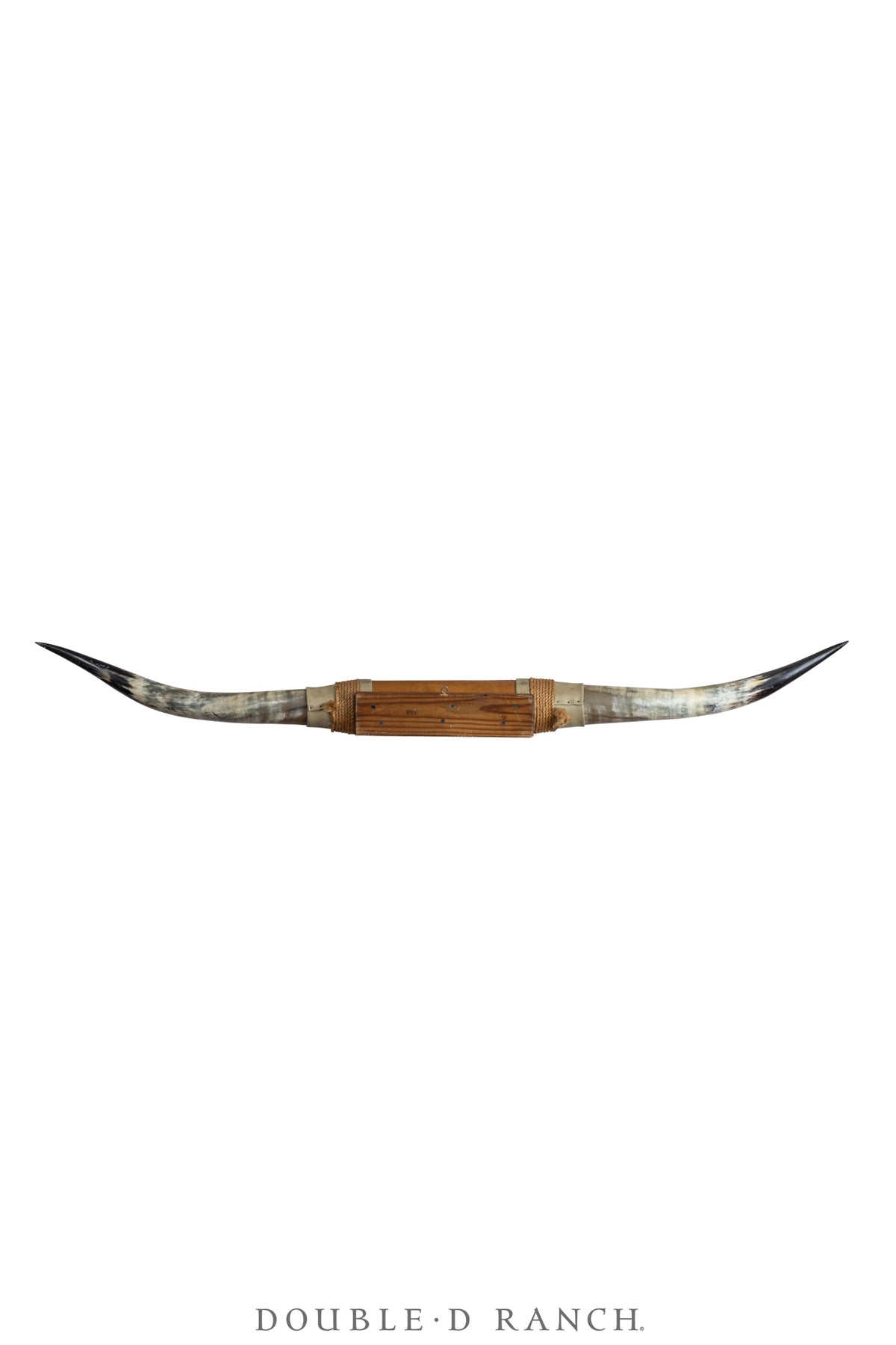 Taxidermy, Longhorn Horn Display, 67" Wide, Contemporary, 1330