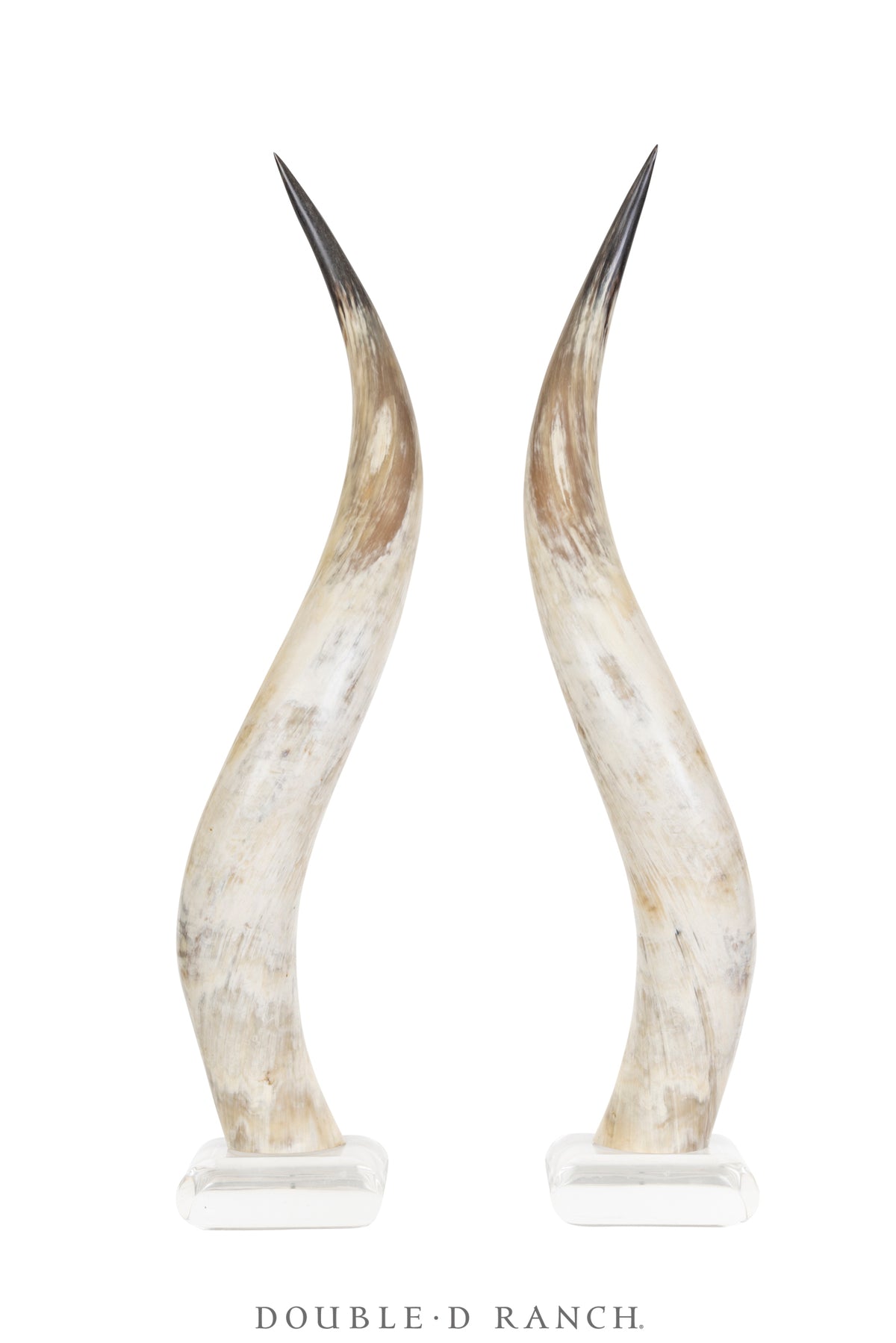 Miscellaneous, Art, Taxidermy, Longhorns on Lucite Base, Vintage, 1138