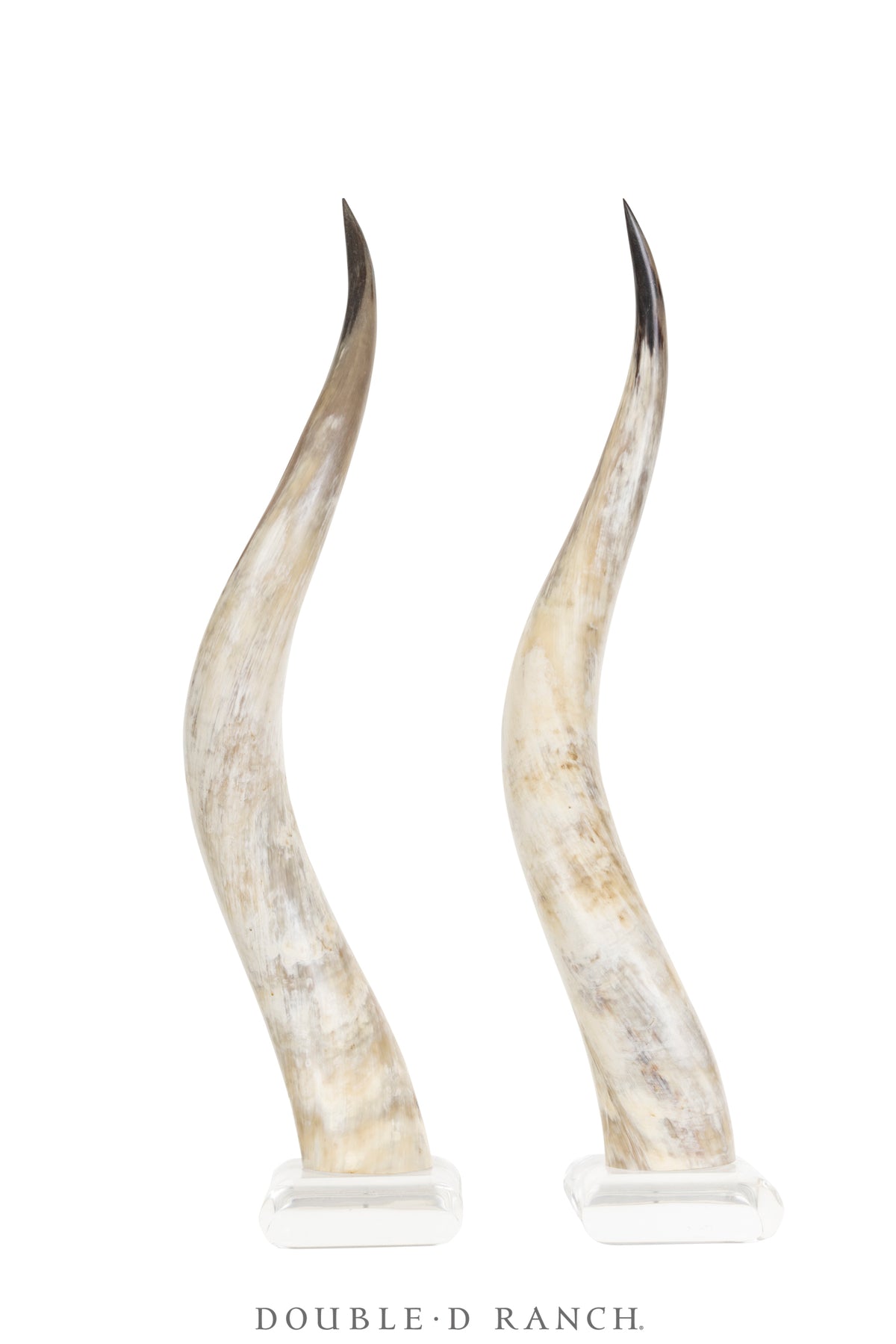 Miscellaneous, Art, Taxidermy, Longhorns on Lucite Base, Vintage, 1138