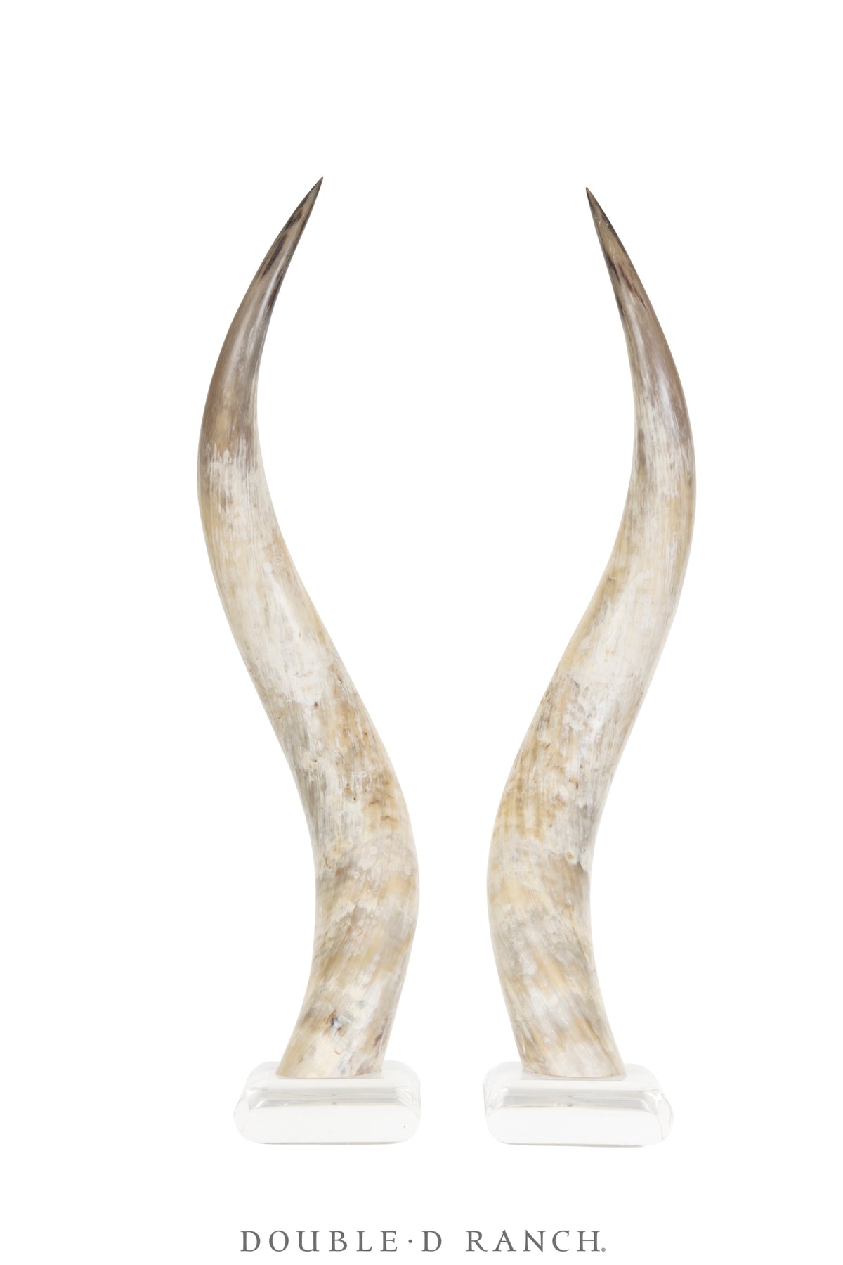 Miscellaneous, Art, Taxidermy, Longhorns on Lucite Base, Vintage, 1138