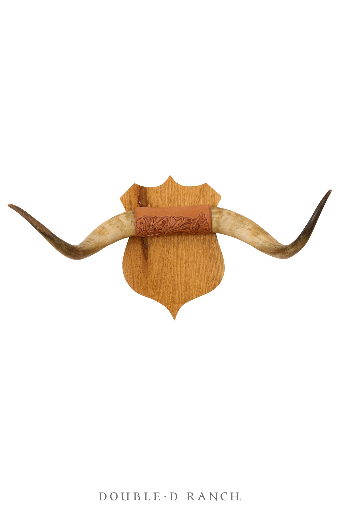 Art, Taxidermy, Longhorn, Steer Horns, Vintage, 1332