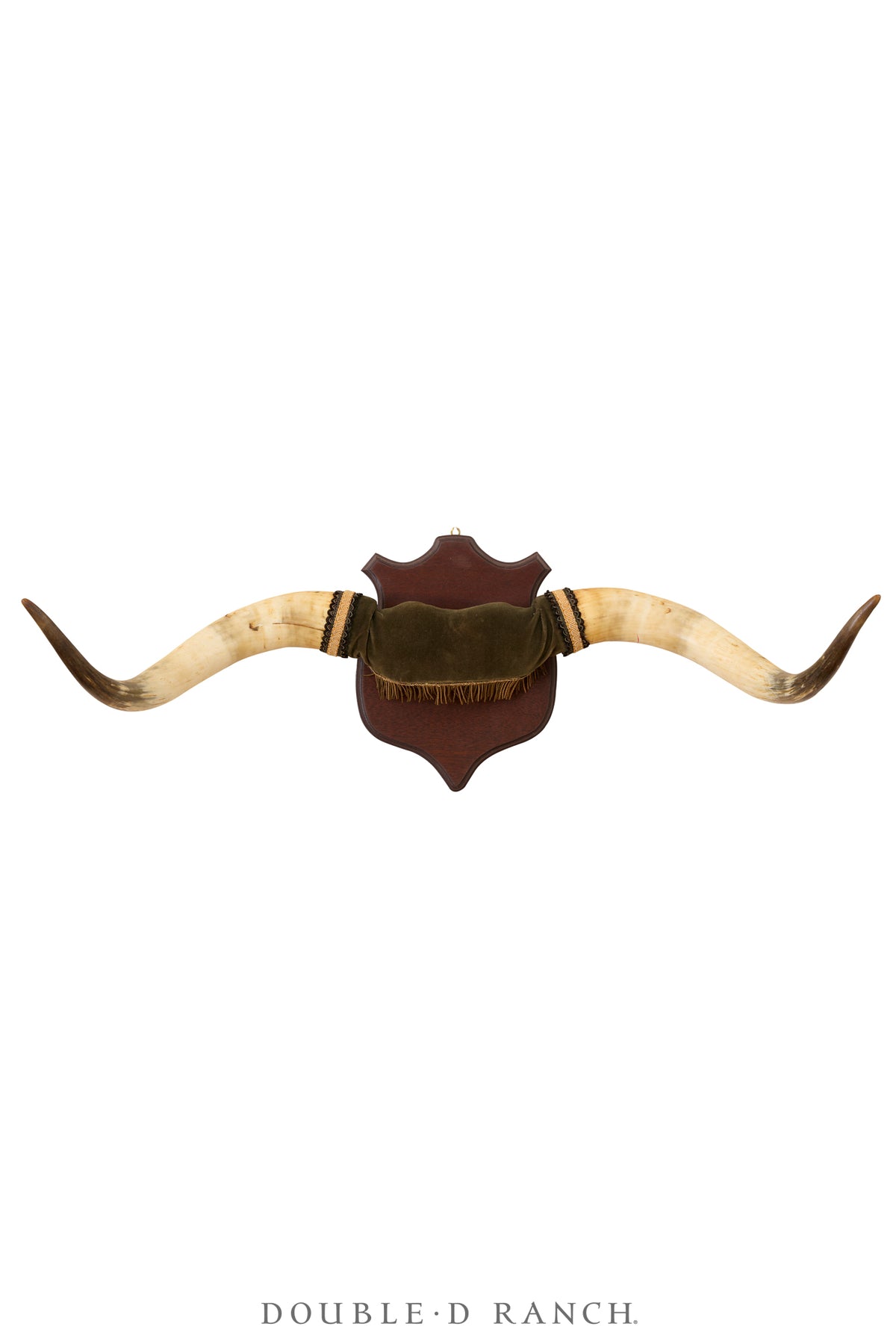 Art, Taxidermy, Longhorns, Victorian, Antique, 1338