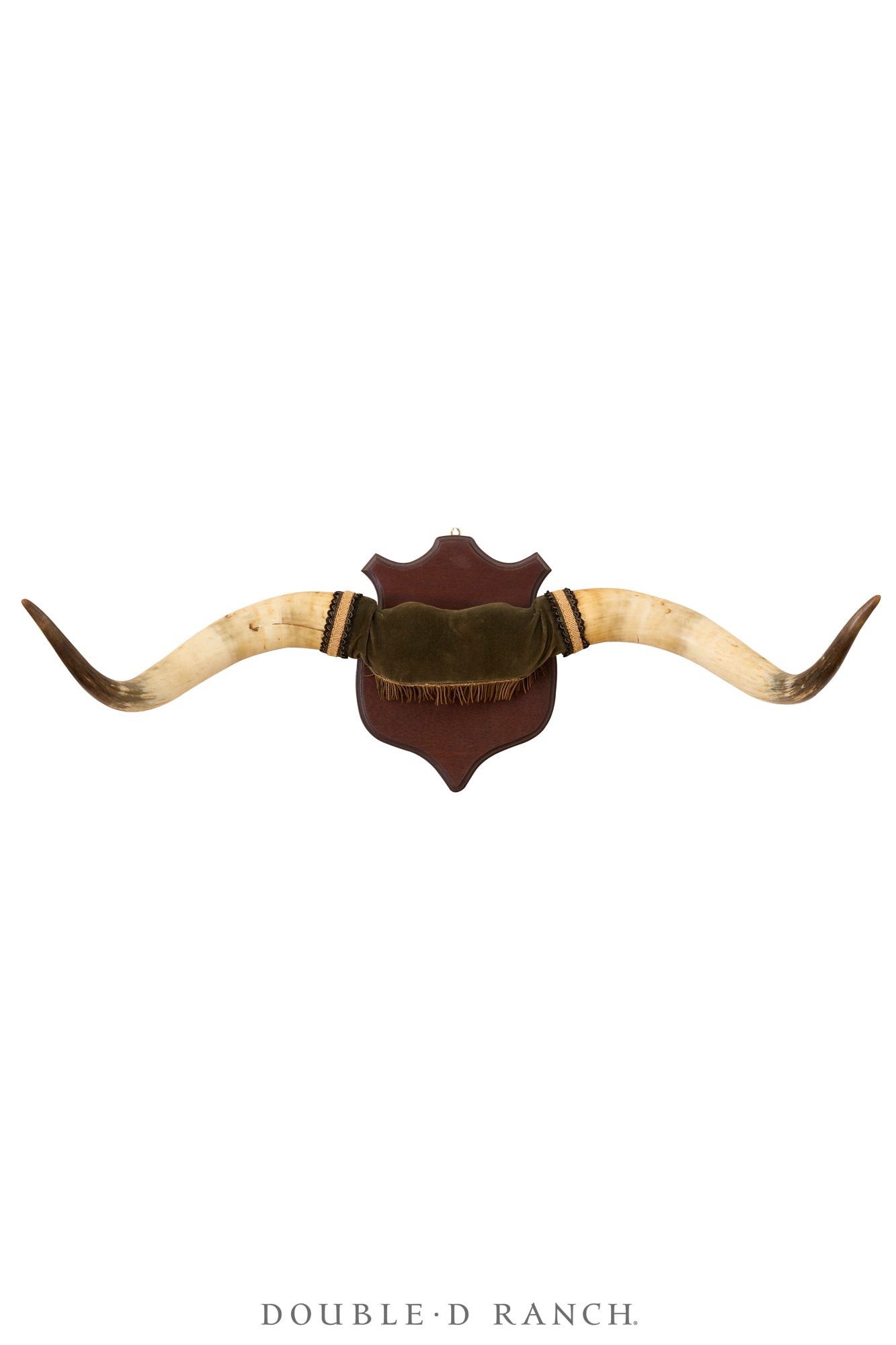 Art, Taxidermy, Longhorns, Victorian, Antique, 1338