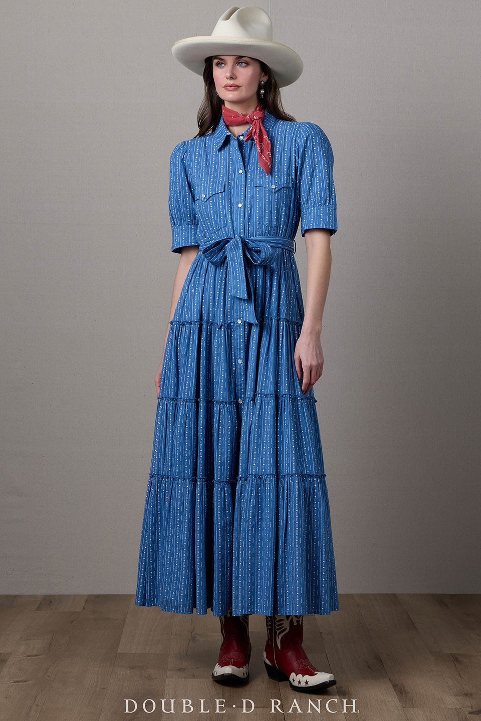 Dress, Bunting Blues