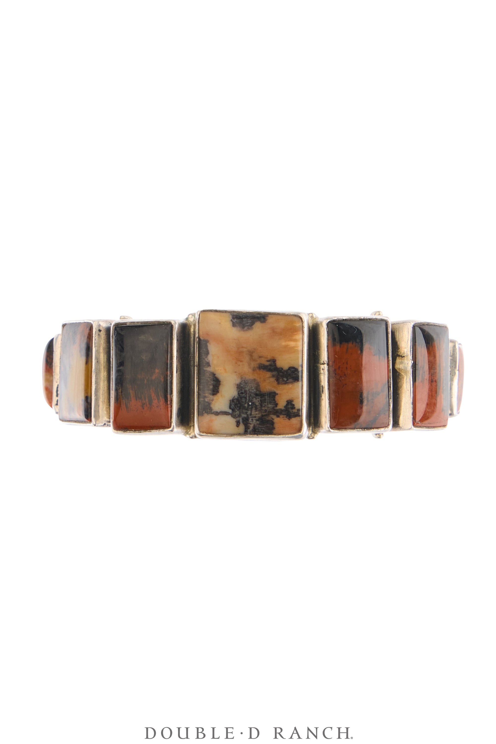 Cuff, Federico, Natural Arizona Rainbow Petrified Wood, Hallmark, Contemporary, 4139