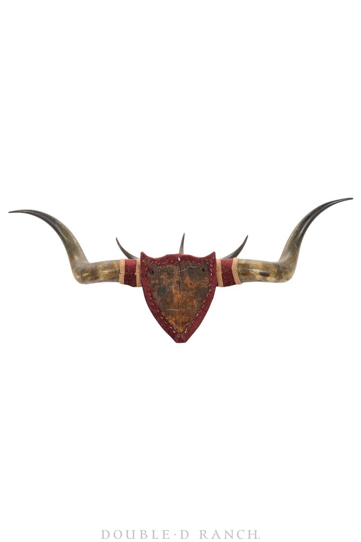 Art, Taxidermy, Longhorns, Victorian, Antique, 1336
