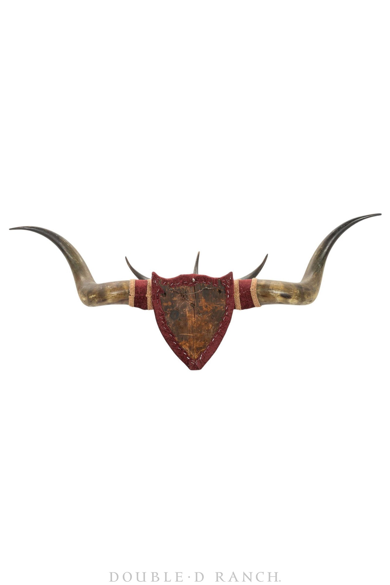 Art, Taxidermy, Longhorns, Victorian, Antique, 1336