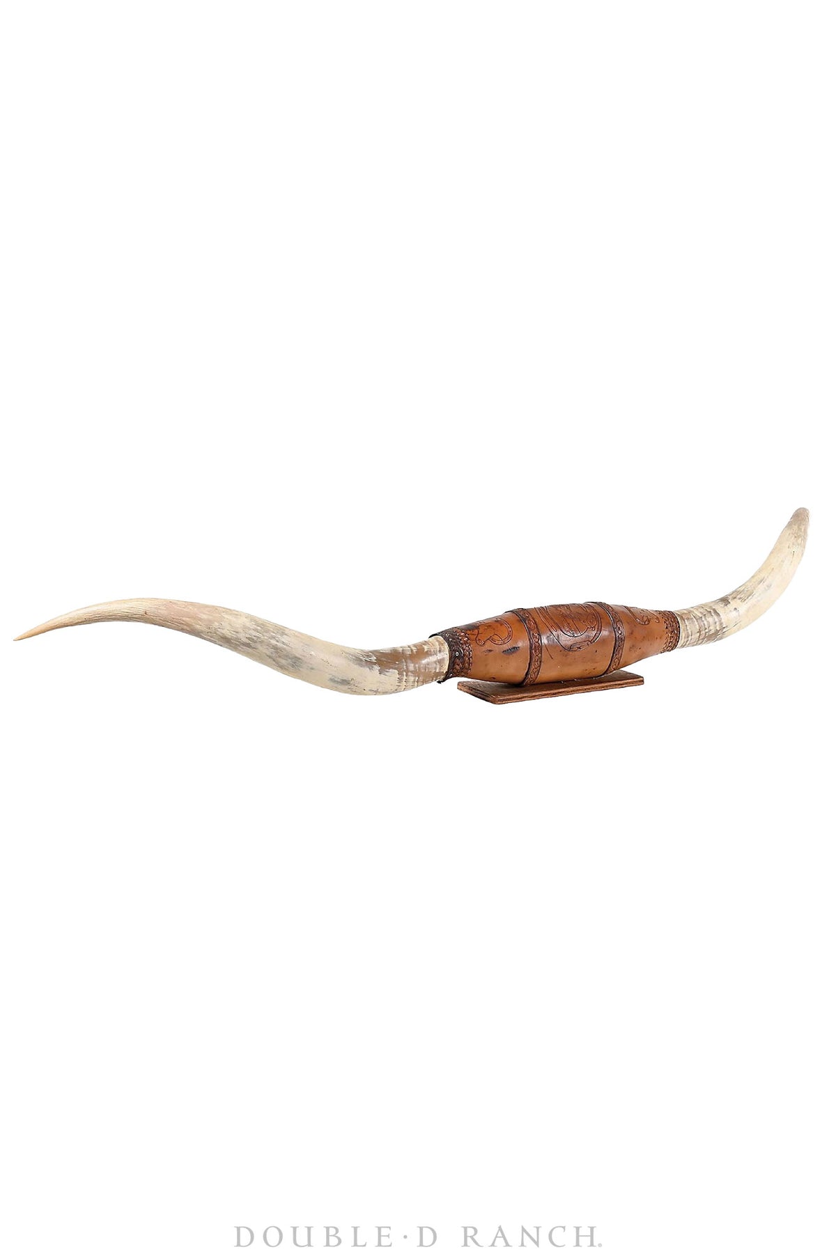 Art, Taxidermy, Longhorn Horn Display, Monumental 84", Vintage, 1378