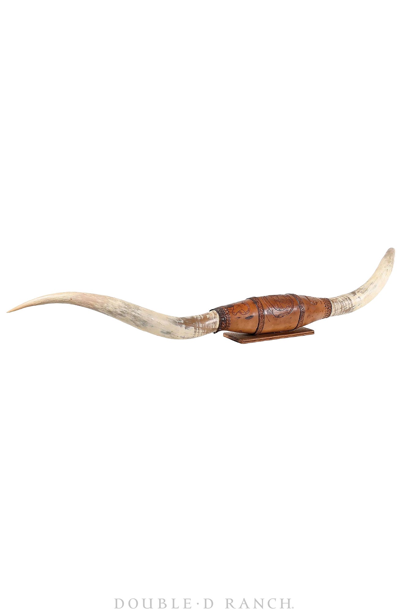 Art, Taxidermy, Longhorn Horn Display, Monumental 84", Vintage, 1378