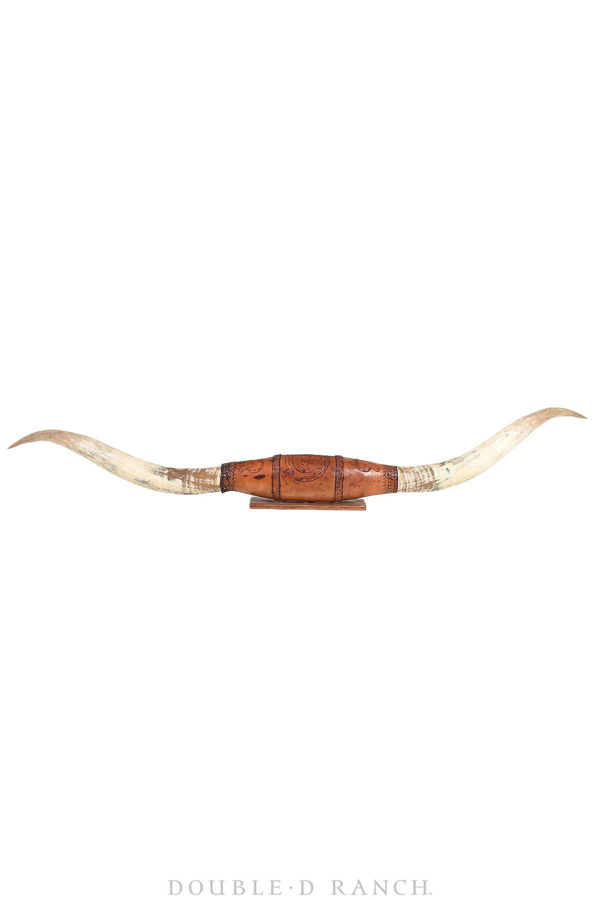 Art, Taxidermy, Longhorn Horn Display, Monumental 84", Vintage, 1378