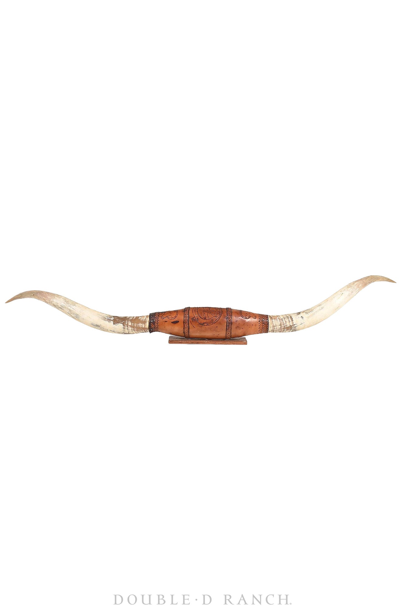 Art, Taxidermy, Longhorn Horn Display, Monumental 84", Vintage, 1378