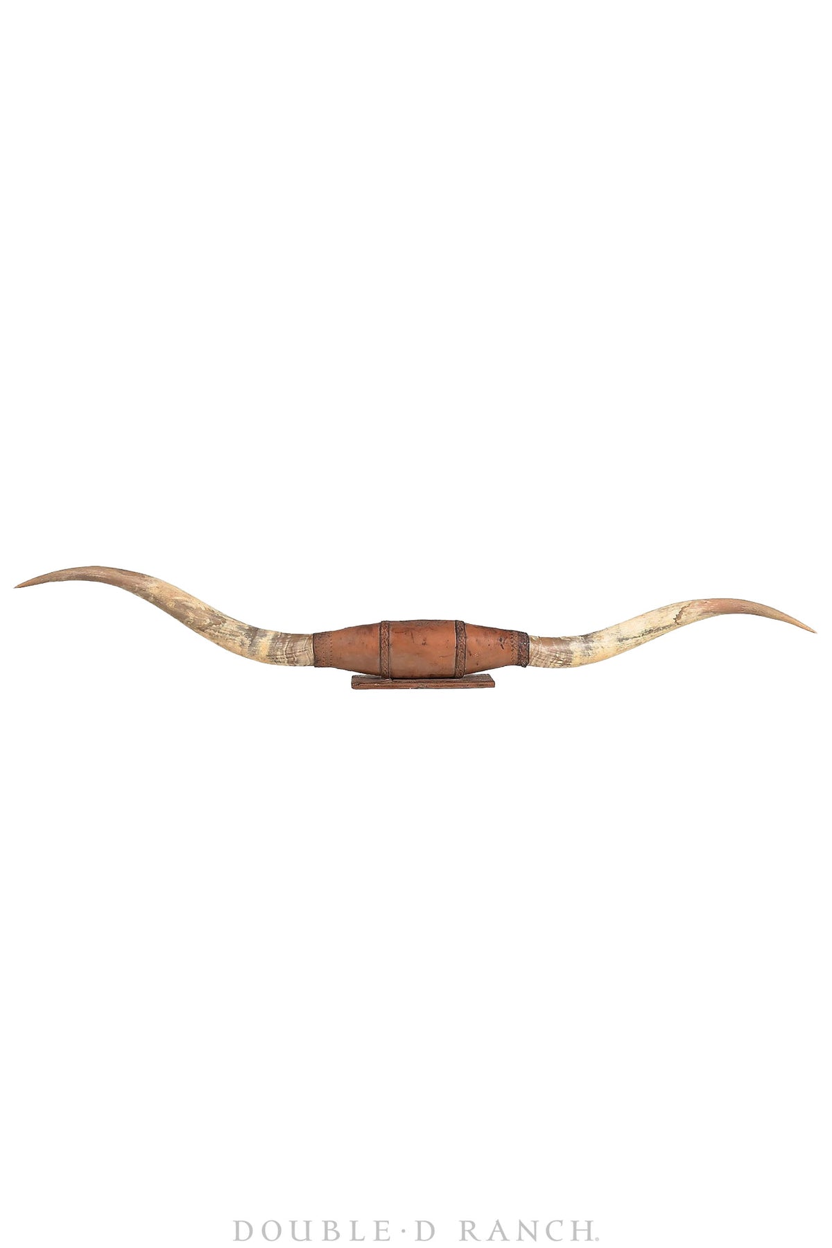 Art, Taxidermy, Longhorn Horn Display, Monumental 84", Vintage, 1378