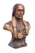 Miscellaneous, Folk Art, Native American Bust, Buckskin, Tobacco Advertising, Antique, 1907, 807