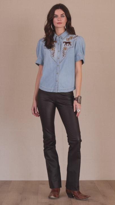 Top, Little Blues Pony