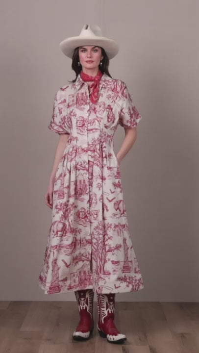 Dress, America The Beautiful Toile