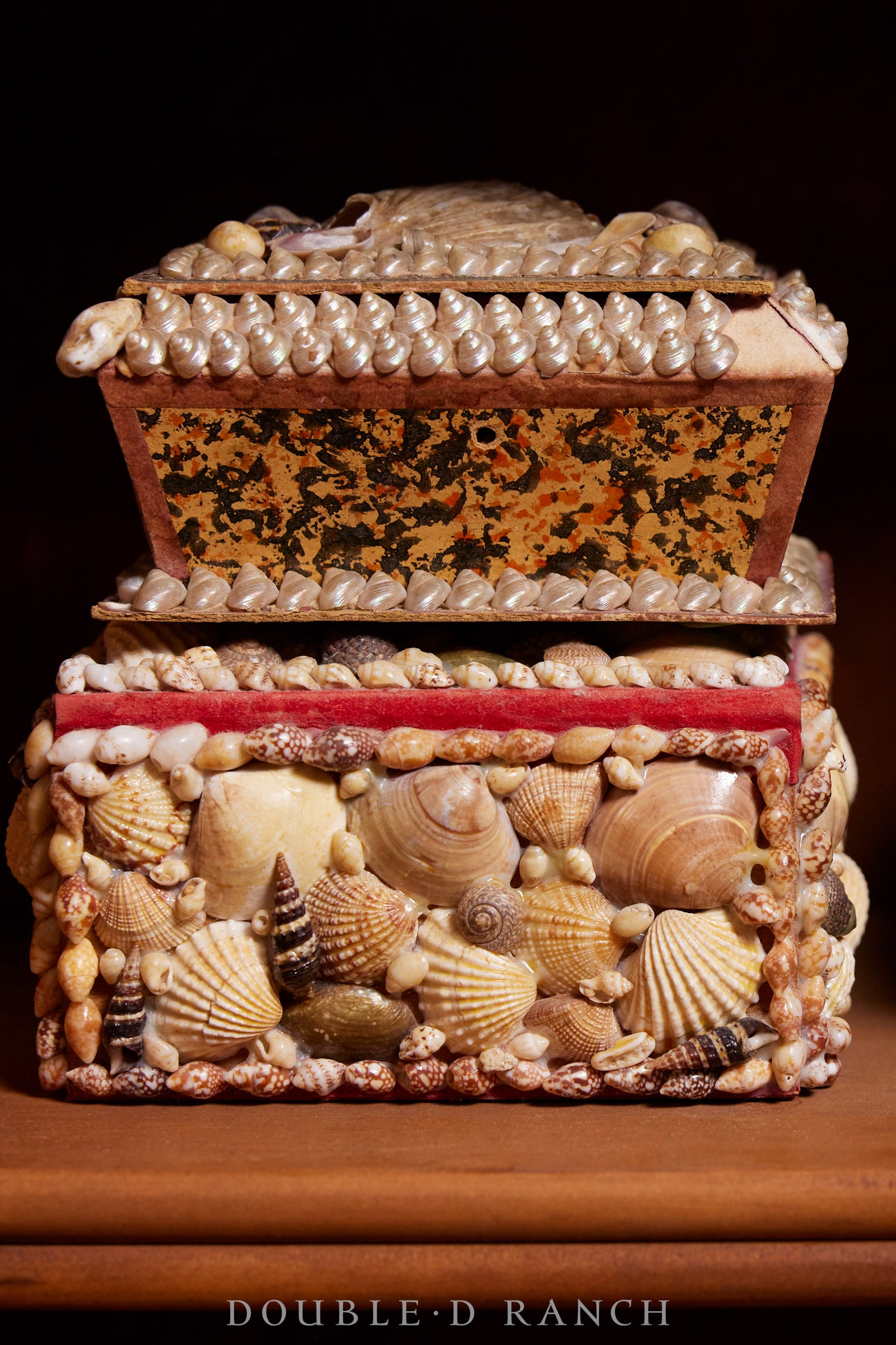 Antique Art Box Filled With buy Jars of Shells.